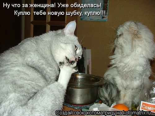 Котоматрица: Куплю  тебе новую шубку, куплю!!! Ну что за женщина! Уже обиделась!