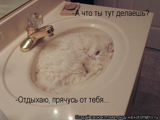 Котоматрица: -А что ты тут делаешь?  -Отдыхаю, прячусь от тебя...