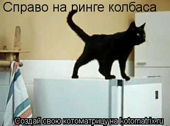 Котоматрица: Справо на ринге колбаса