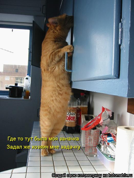 Котоматрица: Где то тут была моя заначка Где то тут была моя заначка Задал же хозяин мне задачку