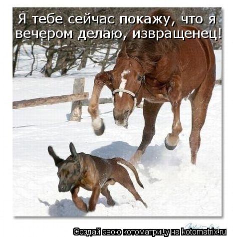 Котоматрица: Я тебе сейчас покажу, что я вечером делаю, извращенец!