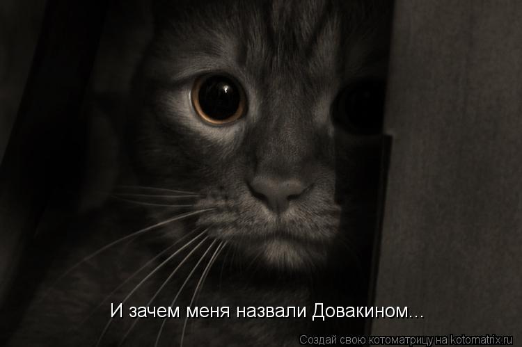 Котоматрица: И зачем меня назвали Довакином...