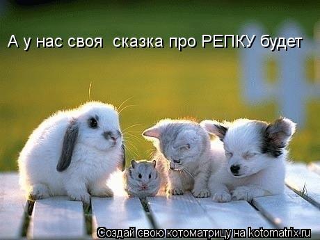 Котоматрица: А у нас своя  сказка про РЕПКУ будет