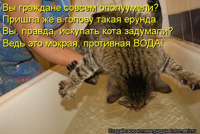 Вы граждане совсем ополуумели? Пришла же в голову такая ерунда. Вы, правда, искупать кота задумали? В... Котоматрица: Вы граждане совсем ополуумели? Пришла же в голову такая ерунда. Вы, правда, искупать кота задумали? Ведь это мокрая, противная ВОДА!
