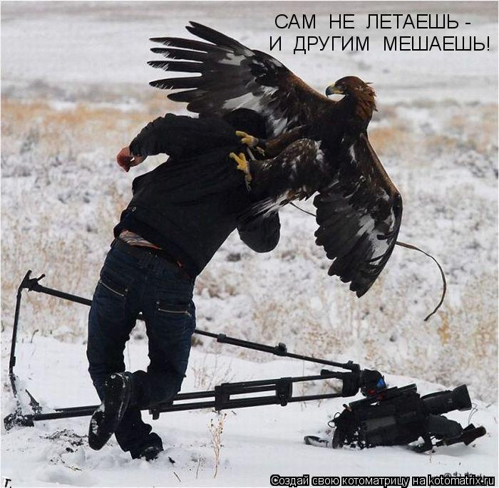 Котоматрица: САМ  НЕ  ЛЕТАЕШЬ - И  ДРУГИМ  МЕШАЕШЬ!