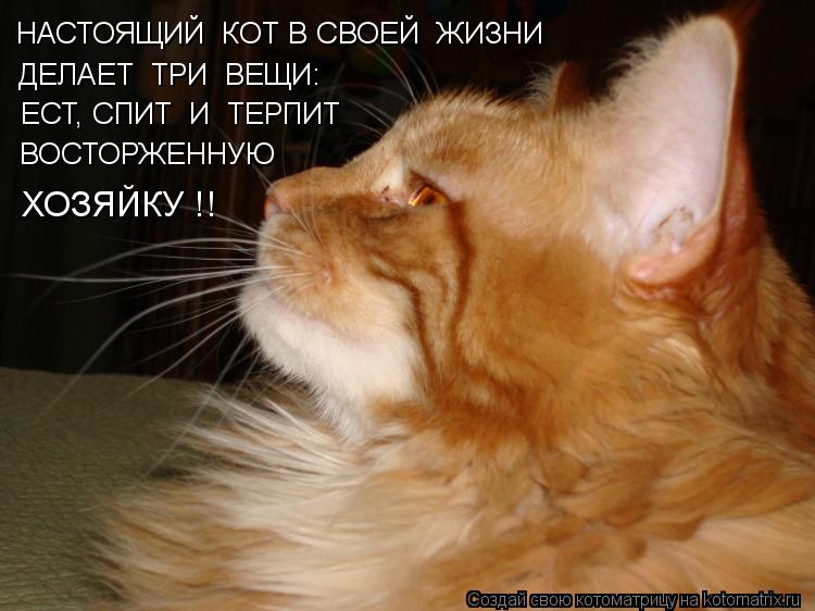 Котоматрица: НАСТОЯЩИЙ  КОТ В СВОЕЙ  ЖИЗНИ  ДЕЛАЕТ  ТРИ  ВЕЩИ: ЕСТ, СПИТ  И  ТЕРПИТ ВОСТОРЖЕННУЮ ХОЗЯЙКУ !!