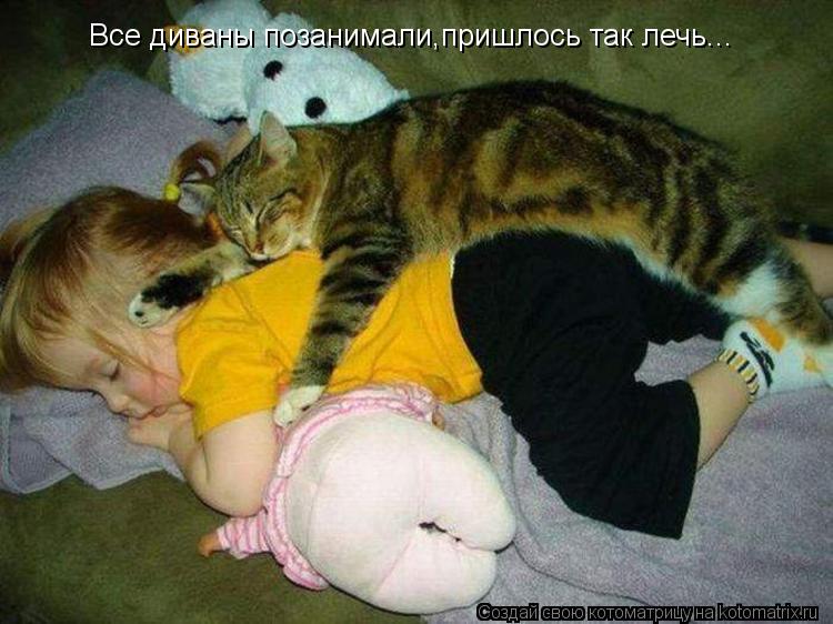 Котоматрица: Все диваны позанимали,пришлось так лечь...