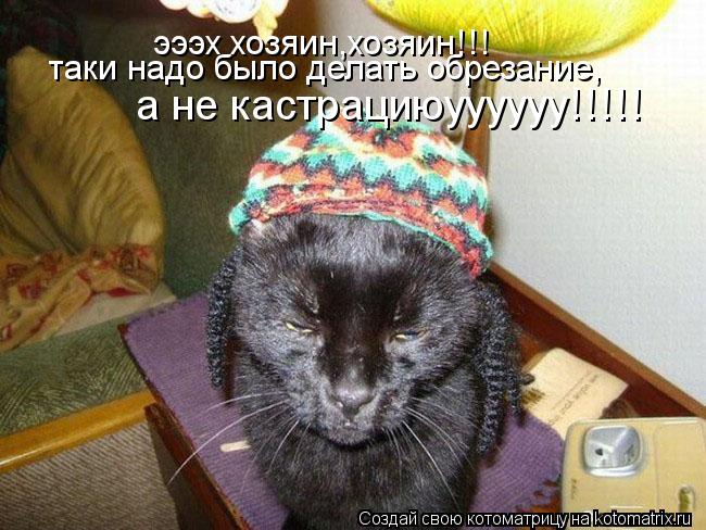 Котоматрица: эээх хозяин,хозяин!!! таки надо было делать обрезание, а не кастрациюуууууу!!!!!