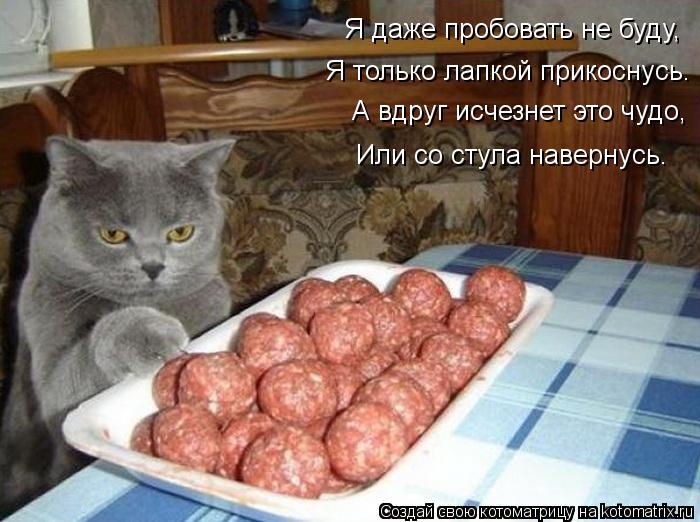 Я даже пробовать не буду, Я только лапкой прикоснусь. А вдруг исчезнет это чудо, Или со стула наверну... Котоматрица: Я даже пробовать не буду, Я только лапкой прикоснусь. А вдруг исчезнет это чудо, Или со стула навернусь.