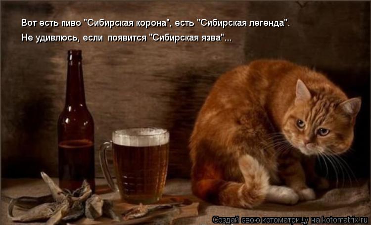 Котоматрица: Не удивлюсь, если  появится "Сибирская язва"... Вот есть пиво "Сибирская корона", есть "Сибирская легенда"…