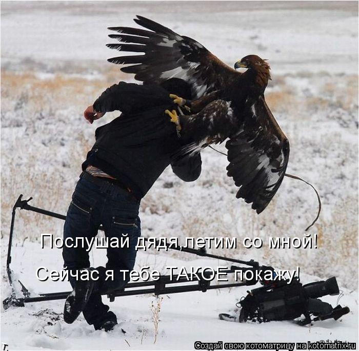 Котоматрица: Послушай дядя,летим со мной! Сейчас я тебе ТАКОЕ покажу!