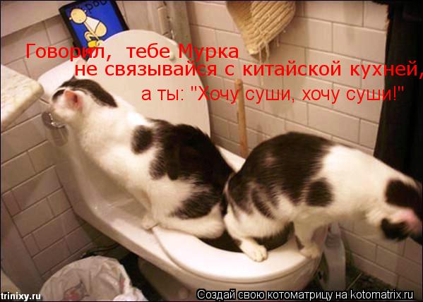 Котоматрица: Говорил,  тебе Мурка не связывайся с китайской кухней, а ты: "Хочу суши, хочу суши!"