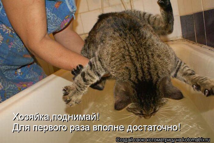 Хозяйка,поднимай! Для первого раза вполне достаточно!... Котоматрица: Хозяйка,поднимай! Для первого раза вполне достаточно!