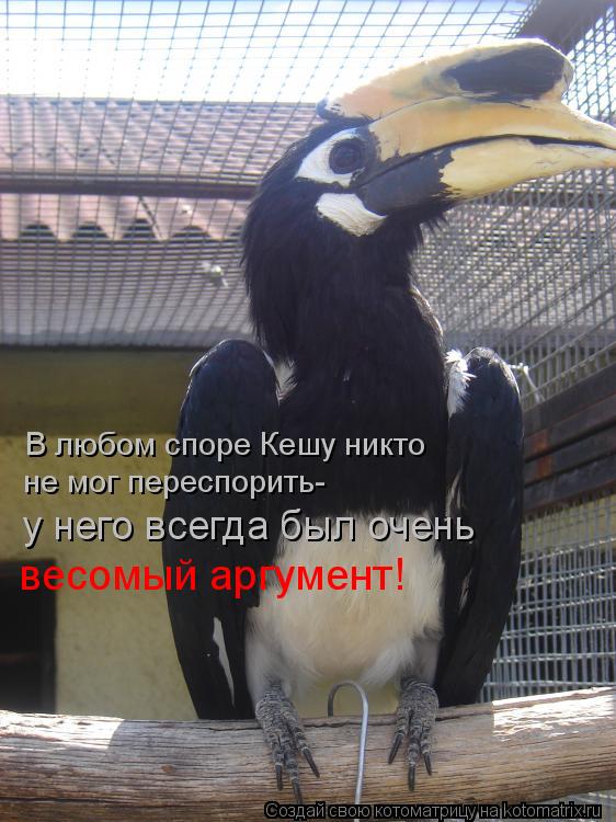 Котоматрица: В любом споре Кешу никто  не мог переспорить- у него всегда был очень  весомый аргумент!
