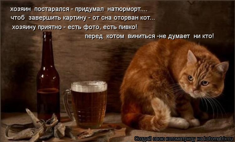 Котоматрица: хозяин  постарался - придумал  натюрморт....  чтоб  завершить картину - от сна оторван кот... хозяину приятно - есть фото, есть пивко!   перед  кот
