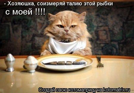 Котоматрица: - Хозяюшка, соизмеряй талию этой рыбки с моей !!!!