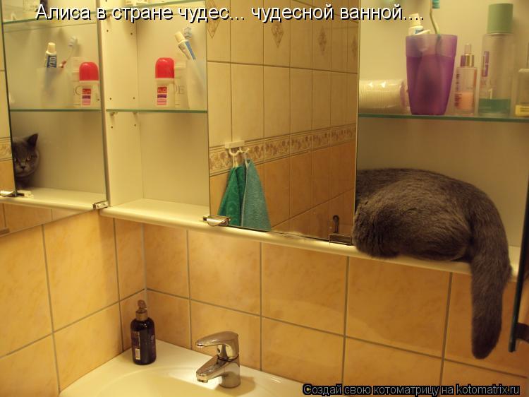 Котоматрица: Алиса в стране чудес... чудесной ванной....