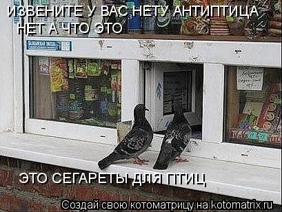 Котоматрица: ИЗВЕНИТЕ У ВАС НЕТУ АНТИПТИЦА ИЗВЕНИТЕ У ВАС НЕТУ АНТИПТИЦА НЕТ А ЧТО ЭТО  ЭТО СЕГАРЕТЫ ДЛЯ ПТИЦ