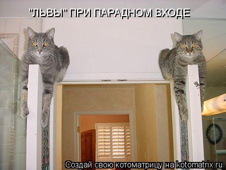 Котоматрица: "ЛЬВЫ" ПРИ ПАРАДНОМ ВХОДЕ