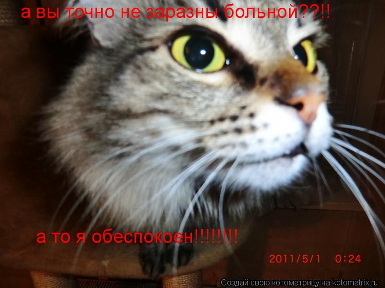 Котоматрица: а вы точно не заразны больной??!! а то я обеспокоен!!!!!!!!
