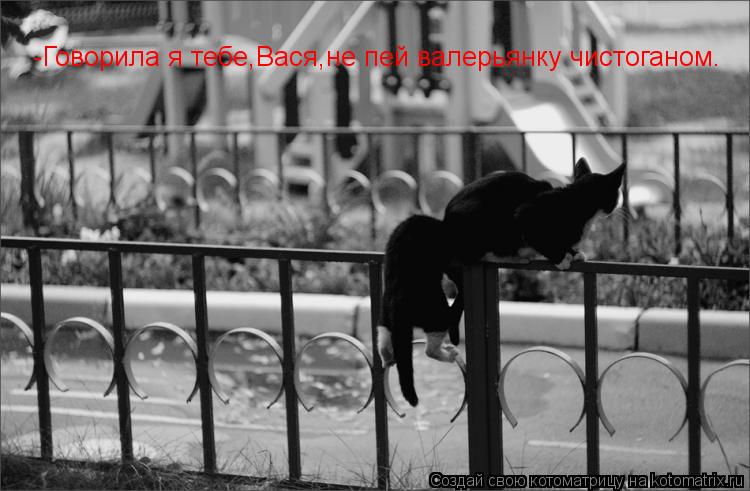 Котоматрица: -Говорила я тебе,Вася,не пей валерьянку чистоганом.