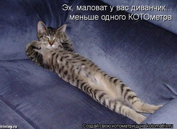 Эх, маловат у вас диванчик... меньше одного КОТОметра... Котоматрица: Эх, маловат у вас диванчик... меньше одного КОТОметра