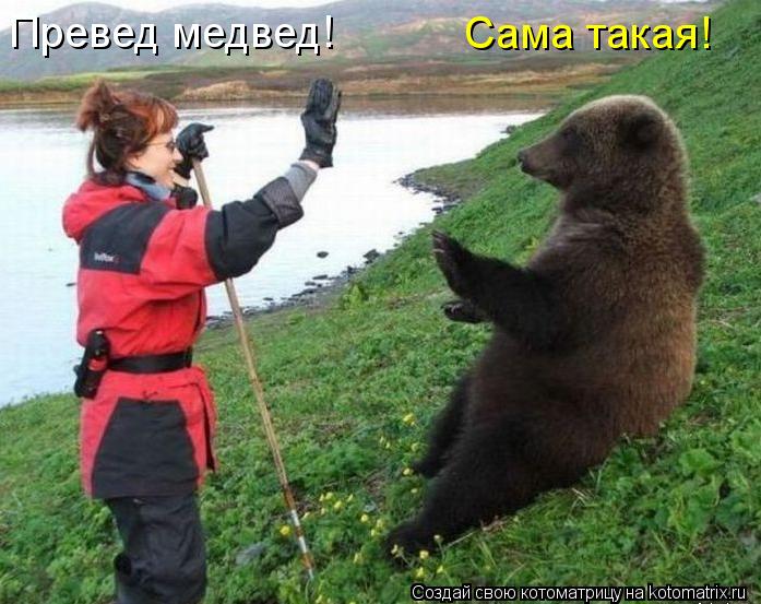 Котоматрица: Превед медвед! Сама такая!