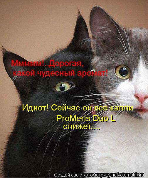 Котоматрица: слижет....  Идиот! Сейчас он все капли   ProMeris Duo L    Ммммм!..Дорогая,   какой чудесный аромат!