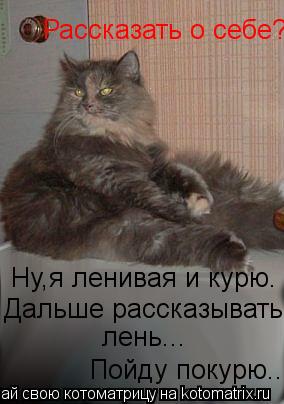 Котоматрица: Рассказать о себе? Ну,я ленивая и курю. Дальше рассказывать  лень... Пойду покурю...