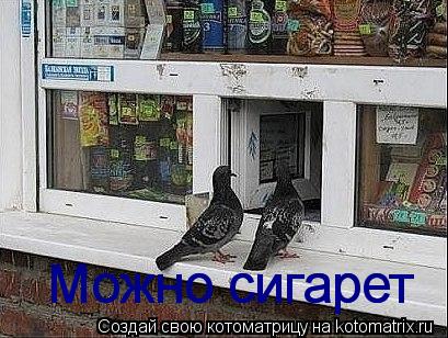 Котоматрица: Можно сигарет Можно сигарет