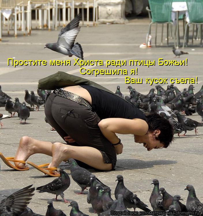 Котоматрица: Простите меня Христа ради птицы Божьи! Согрешила я! Ваш кусок съела!