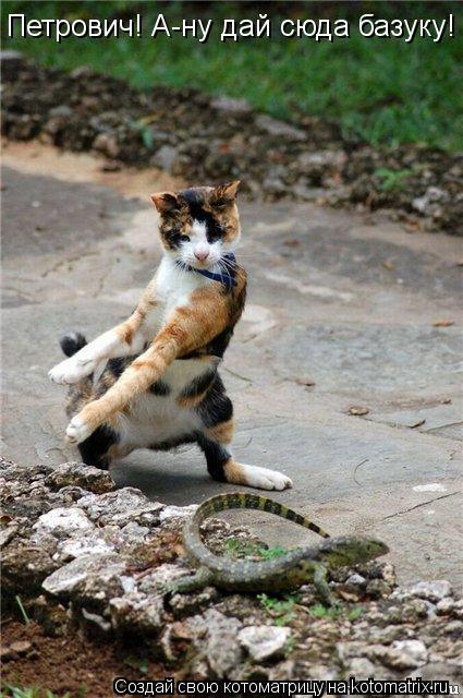 Котоматрица: Петрович! А-ну дай сюда базуку!