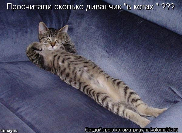 Котоматрица: Просчитали сколько диванчик "в котах " ???