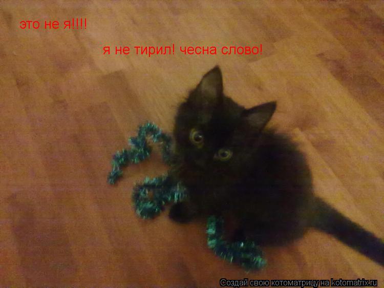 Котоматрица: это не я!!!! я не тирил! чесна слово!