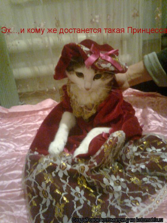 Котоматрица: Эх...,и кому же достанется такая Принцесса