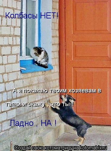 Котоматрица: Колбасы НЕТ! А я покакаю твоим хозяевам в  тапки и скажу , что ты ! Ладно , НА !