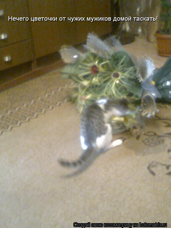 Котоматрица: Нечего цветочки от чужих мужиков домой таскать!