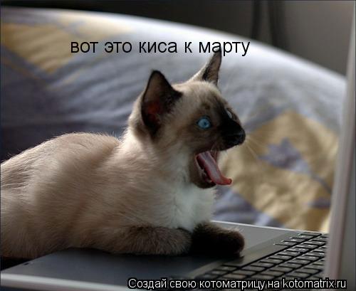 Котоматрица: вот это киса к марту
