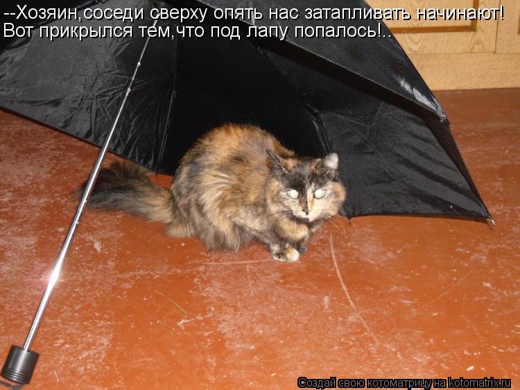Котоматрица: --Хозяин,соседи сверху опять нас затапливать начинают! Вот прикрылся тем,что под лапу попалось!..
