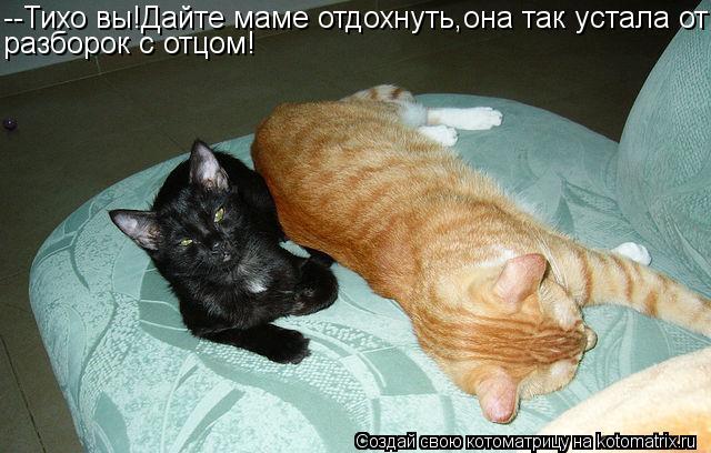 --Тихо вы!Дайте маме отдохнуть,она так устала от разборок с отцом!... Котоматрица: --Тихо вы!Дайте маме отдохнуть,она так устала от разборок с отцом!