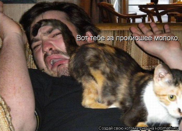 Вот тебе за прокисшее молоко.... Котоматрица: Вот тебе за прокисшее молоко.