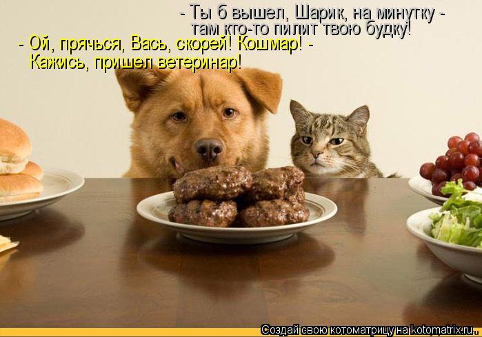 - Ты б вышел, Шарик, на минутку - там кто-то пилит твою будку! - Ой, прячься, Вась, скорей! Кошмар! -... Котоматрица: - Ты б вышел, Шарик, на минутку - там кто-то пилит твою будку! - Ой, прячься, Вась, скорей! Кошмар! - Кажись, пришел ветеринар!