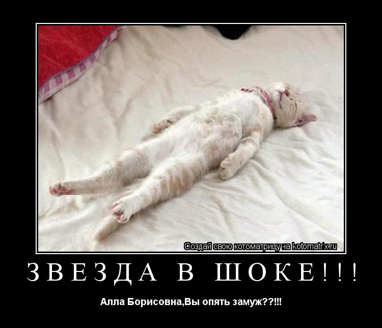 Котоматрица: ЗВЕЗДА В ШОКЕ!!! Алла Борисовна,Вы опять замуж??!!!