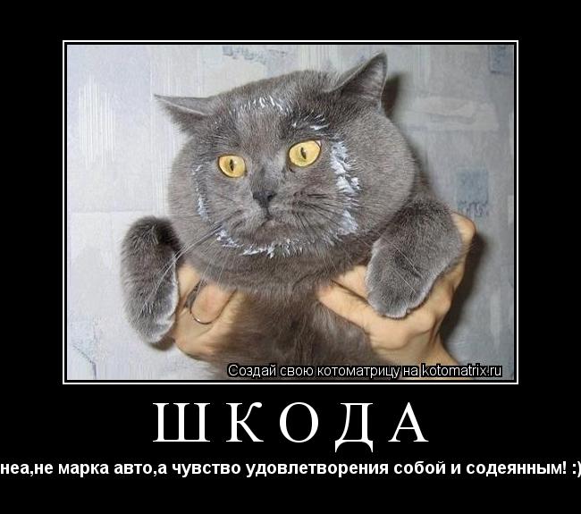 ШКОДА неа,не марка авто,а чувство удовлетворения собой и содеянным! :)... Котоматрица: ШКОДА неа,не марка авто,а чувство удовлетворения собой и содеянным! :)