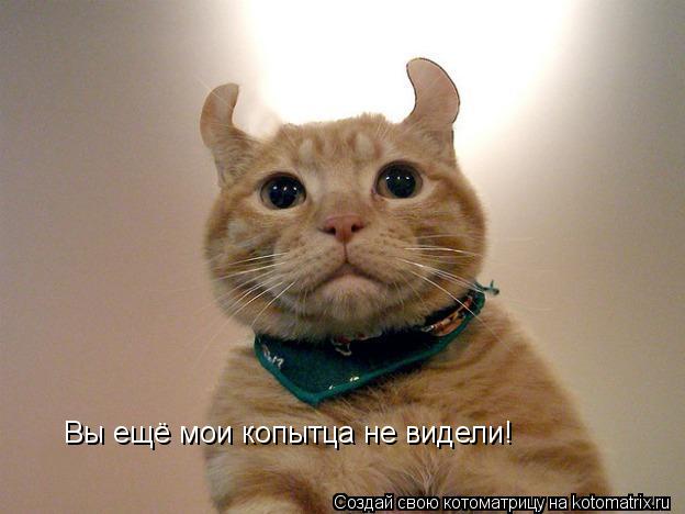 Котоматрица: Вы ещё мои копытца не видели!