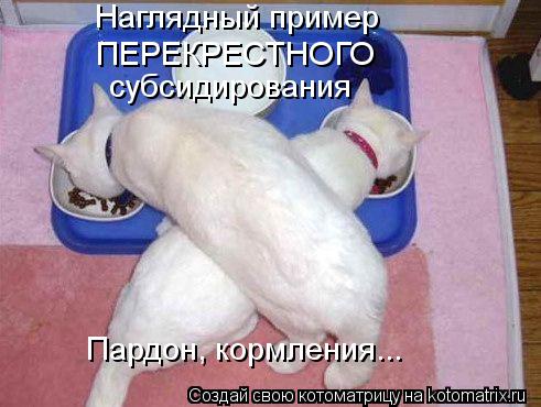 Котоматрица: Наглядный пример ПЕРЕКРЕСТНОГО субсидирования Пардон, кормления...