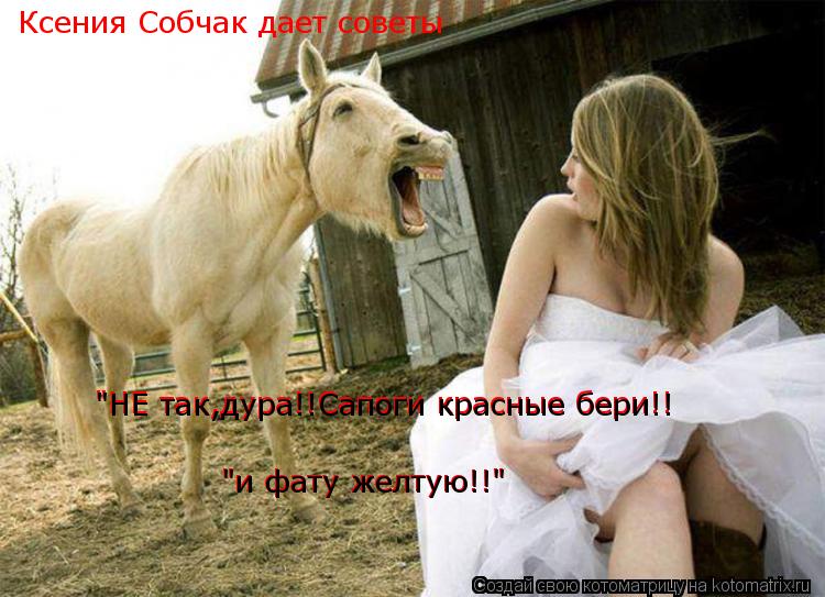 Ксения Собчак дает советы "НЕ так,дура!!Сапоги красные бери!! "и фату желтую!!" "и фату желтую!!" "Н... Котоматрица: Ксения Собчак дает советы "НЕ так,дура!!Сапоги красные бери!! "и фату желтую!!" "и фату желтую!!" "НЕ так,дура!!Сапоги красные бери!!