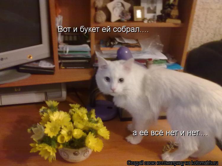 Вот и букет ей собрал.... а её всё нет и нет....... Котоматрица: Вот и букет ей собрал.... а её всё нет и нет....