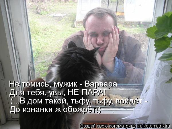 Не томись, мужик - Варвара Для тебя, увы, НЕ ПАРА! (...В дом такой, тьфу, тьфу, войдёт - До изнанки ... Котоматрица: Не томись, мужик - Варвара Для тебя, увы, НЕ ПАРА! (...В дом такой, тьфу, тьфу, войдёт - До изнанки ж обожрёт!)