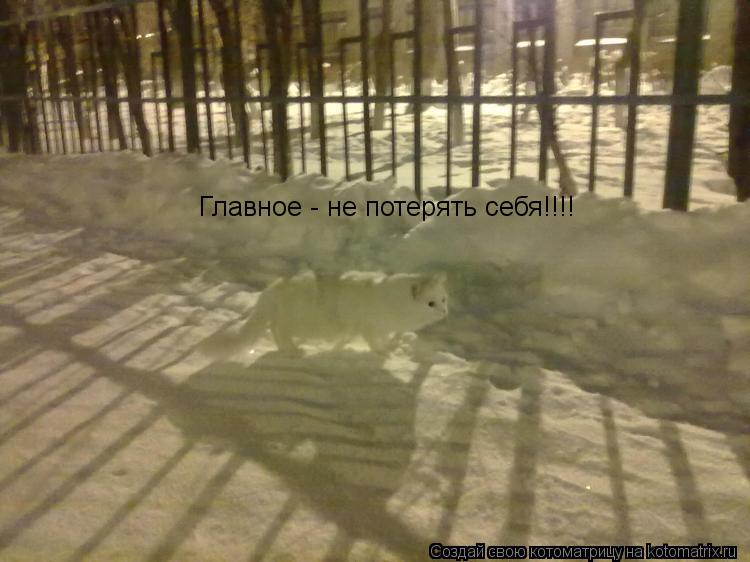 Главное - не потерять себя!!!!... Котоматрица: Главное - не потерять себя!!!!